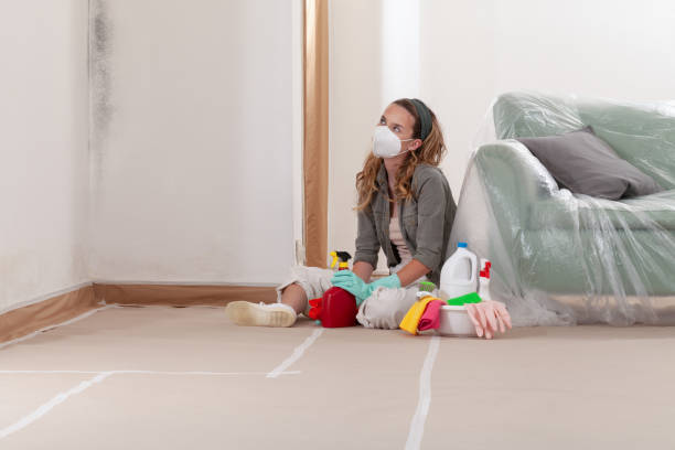 Reliable Mold Remediation contractor in Hackensack, NJ by Cheap Mold Removal